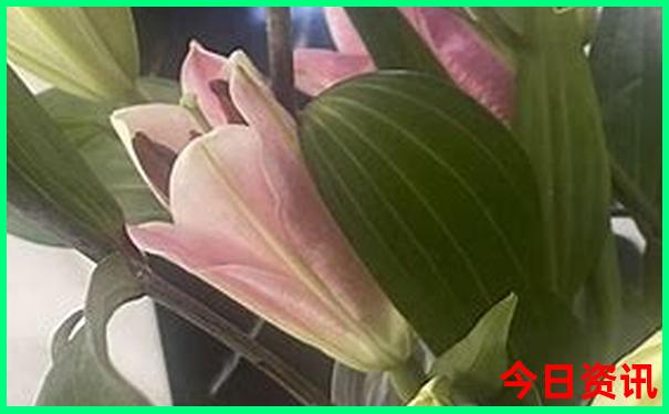 北京古城有什么好玩的地方